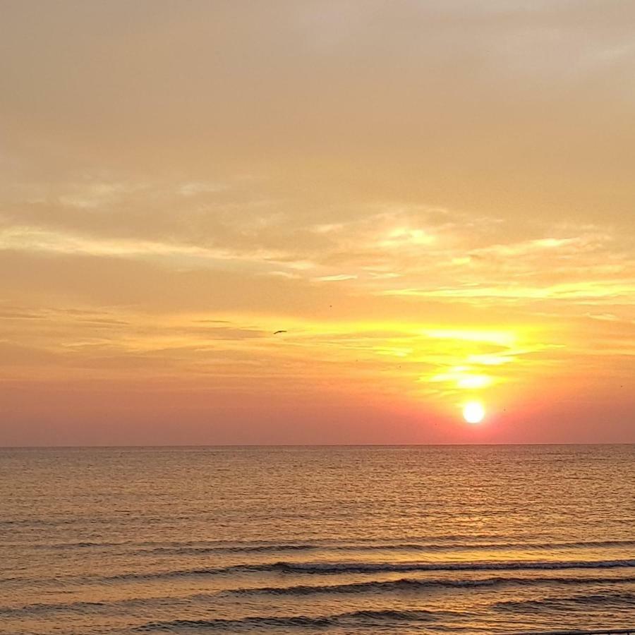 Summerhouse Apartments Mamaia Buitenkant foto